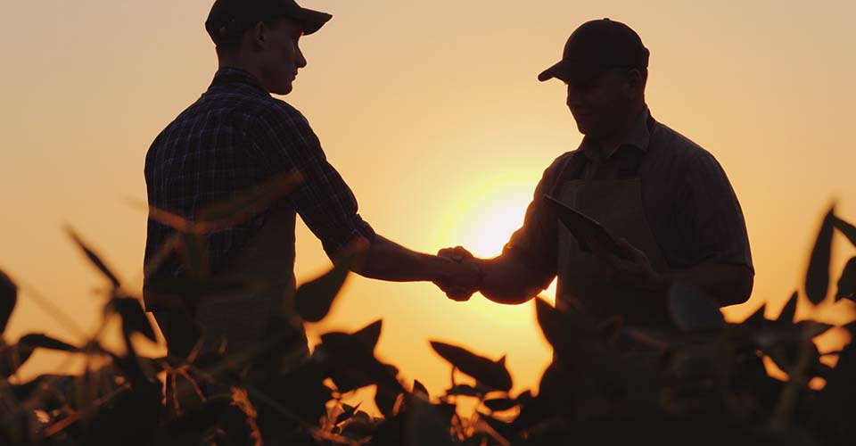 Supplier partners in a field shaking hands